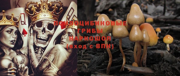 меф Горно-Алтайск